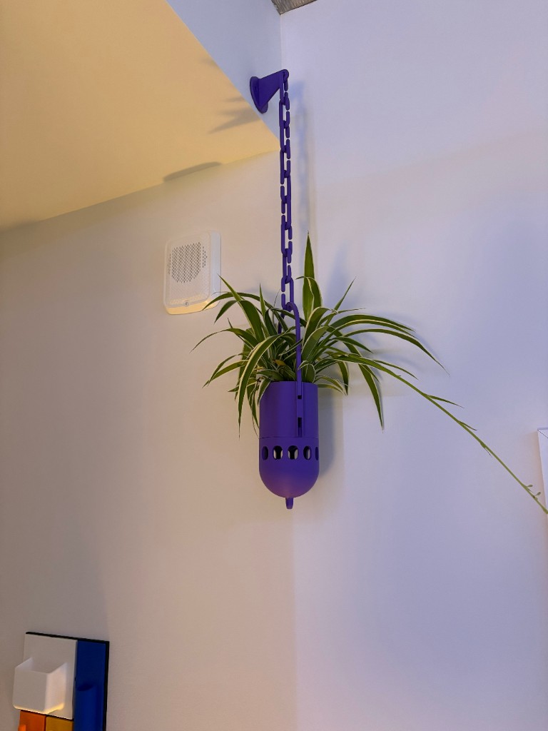Purple printed hanging planter with a spider plant
